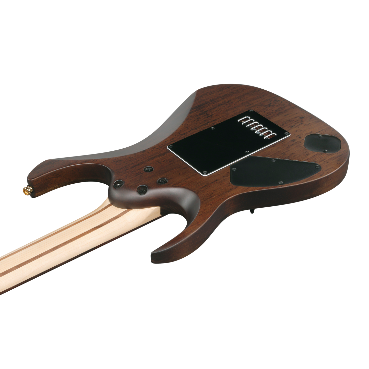 EXCLUSIVE LIMITED EDITION K7YANG HEAD SIGNATURE GUITAR PACKAGE