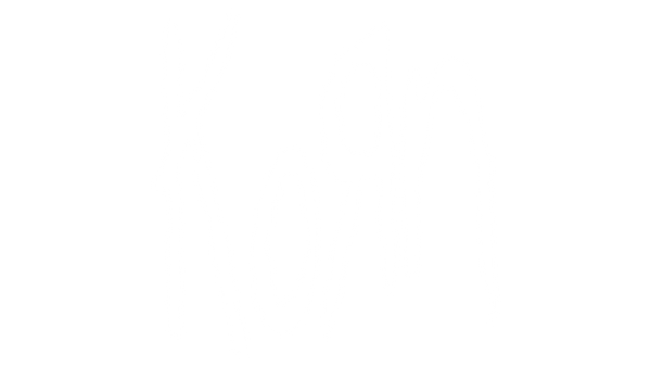 Korn x Adidas Hoodie